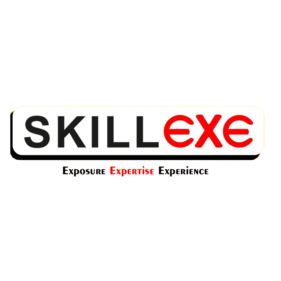 Logo-Skillexe